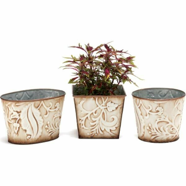 Pipers Pit Venetian Variety Pack Planter PI2971153